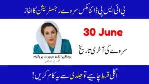 BISP Dynamic Survey 2025 Complete Registration Procedure