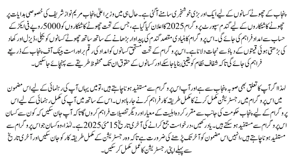 CM Punjab Wheat Support Program 2025