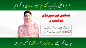 CM Punjab Wheat Support Program 2025 How to Apply Online