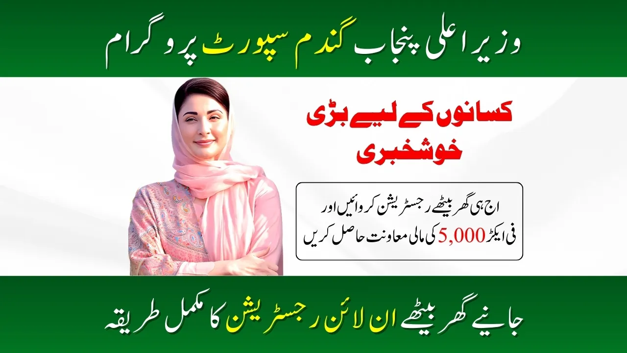 CM Punjab Wheat Support Program 2025 How to Apply Online