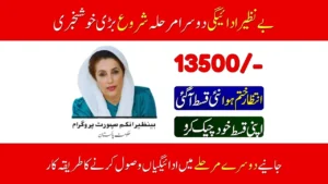 Know How To Get BISP 8171 New Payment In 2nd Phase