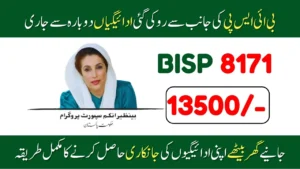 BISP 8171 July 2025: Finally Stopped Payments Resumed