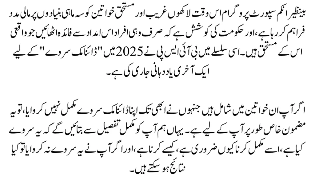BISP Dynamic Survey 2025 Final Remind