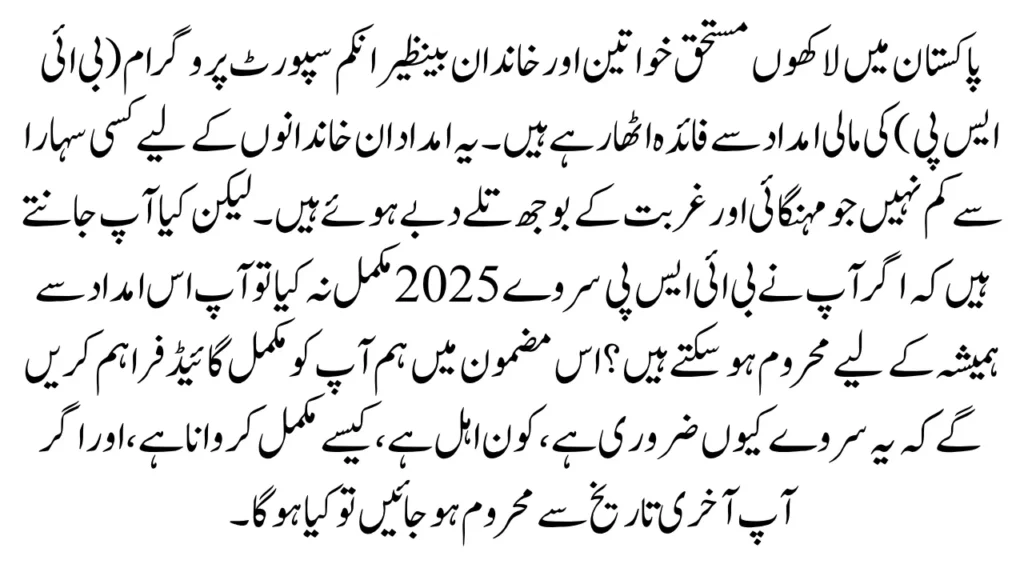 BISP Survey 2025