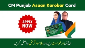 CM Punjab Asaan Karobar Card 2025 – Online Application