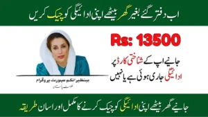 How To Verify Payment Through BISP 8171 Web Portal