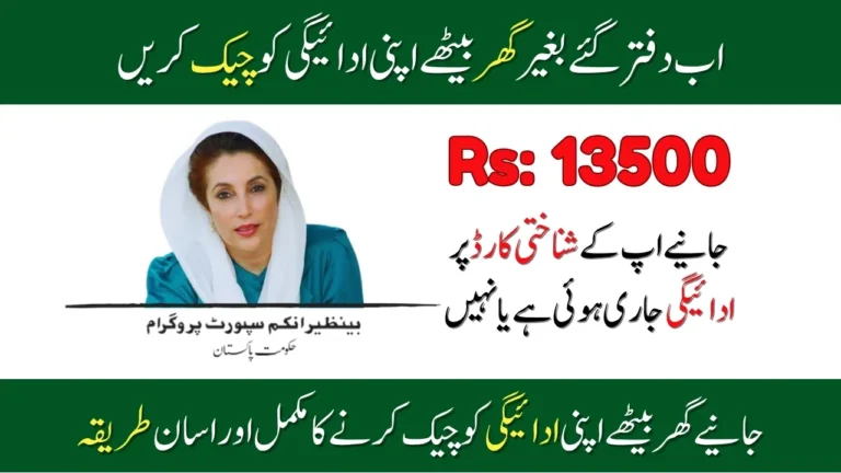 How To Verify Payment Through BISP 8171 Web Portal