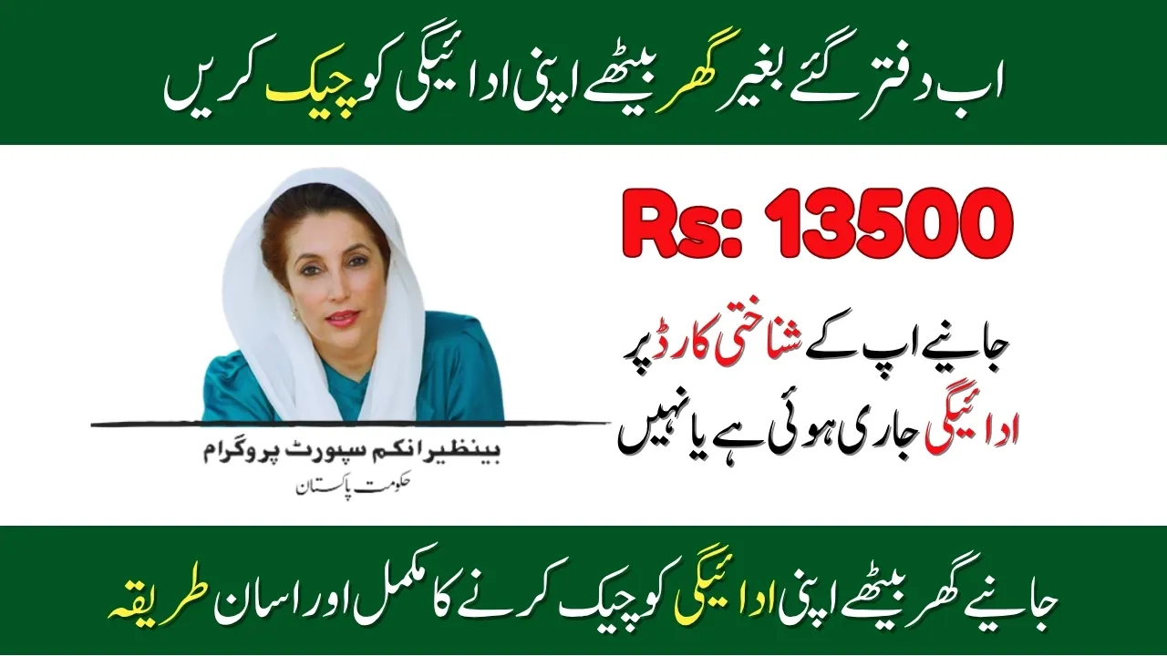 How To Verify Payment Through BISP 8171 Web Portal