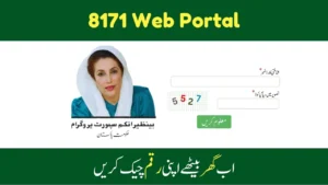 How to Use 8171 Web Portal And Check BISP Payments