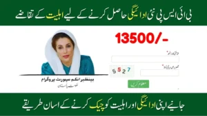Know How To Receive BISP 8171 New Payment In 2025