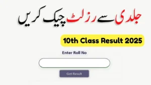 BISE All Punjab Boards 10th Class Result 2025 Announced; Know How to Check