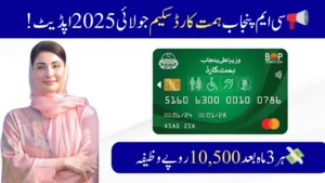 CM Punjab Himmat Card Scheme July 2025 Update; Check Now