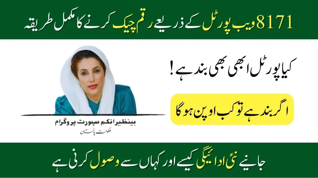 Know How To Use 8171 Portal To Check BISP New Payment