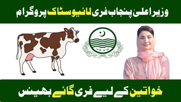CM Punjab Free Livestock Program 2025 - September Update