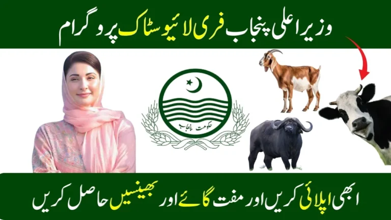 CM Punjab Free Livestock Program September 2025 Update