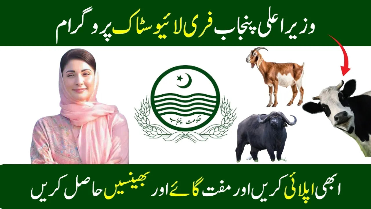 CM Punjab Free Livestock Program September 2025 Update